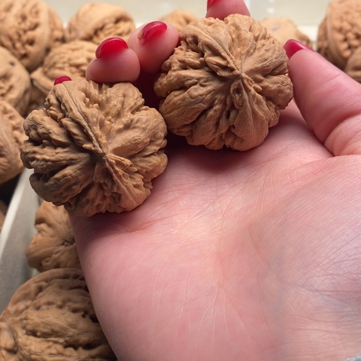 李***”把件文玩核桃霸王龙