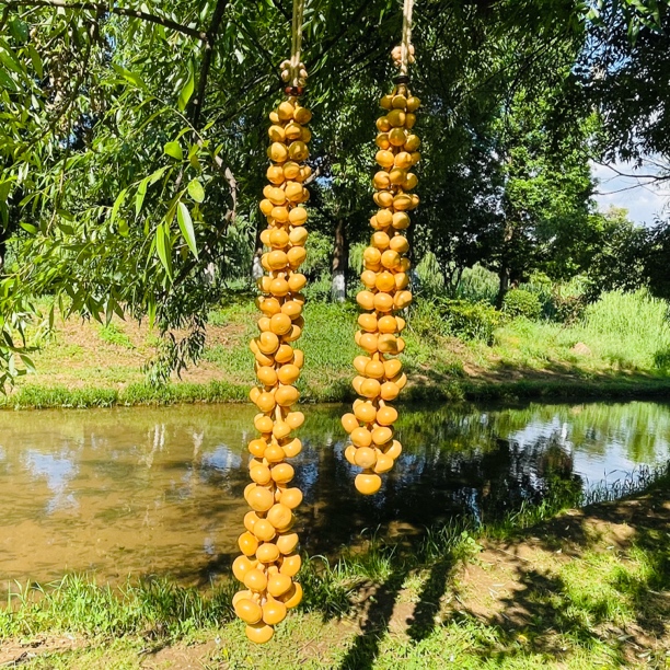 天然真葫芦串带籽福禄钱袋子挂件客厅餐厅卧室玄关蒜头吉祥装饰