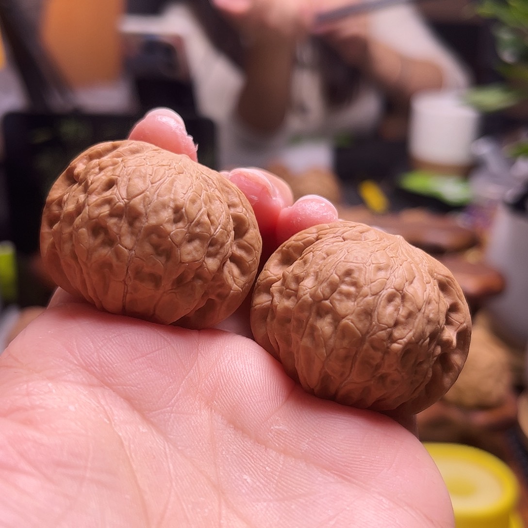 郑***凯文玩核桃把件38尺全品铁锤16