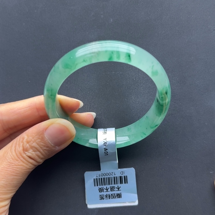 石英质玉未镶嵌手镯燕子➕53.3