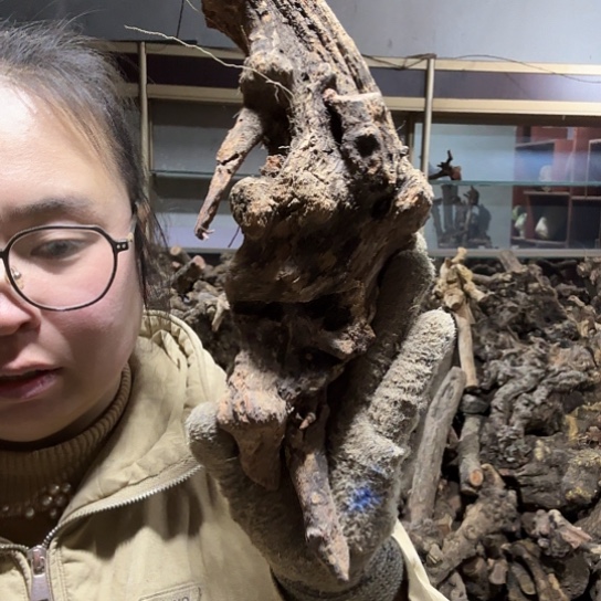 香榧木一****龙火琉璃的毛料摆件