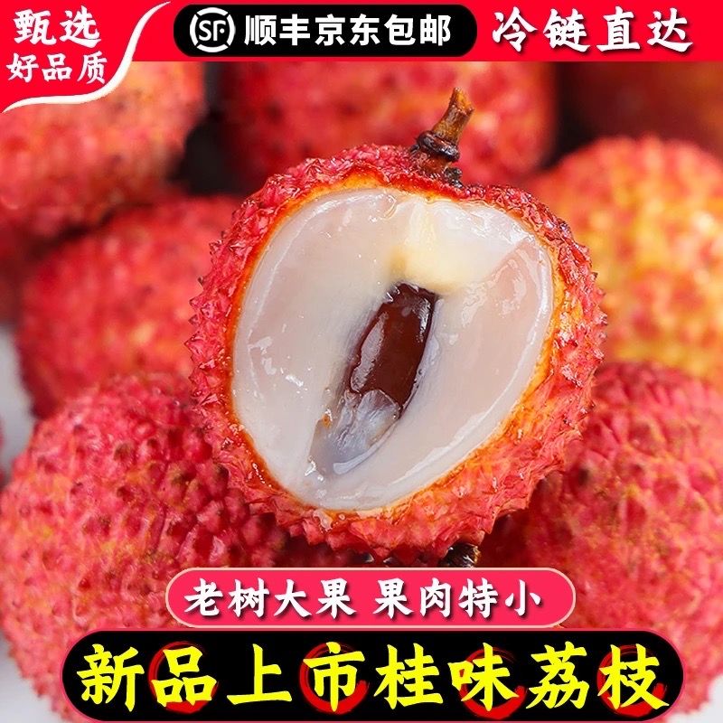 Jojo专属【顺丰/京东冷链】广东老树桂味荔枝现发当季水果产地直发L