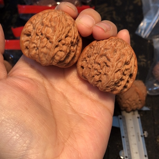 文玩核桃吊坠锦*卫白狮子39