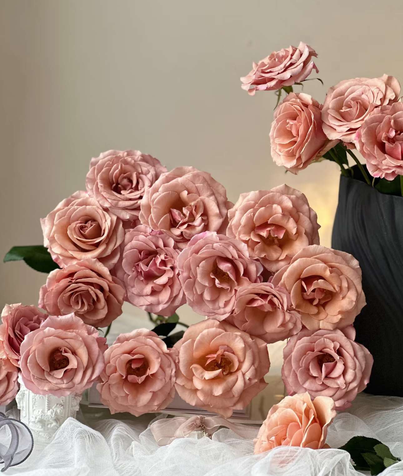 莫泊 Moab rose 容易开炸