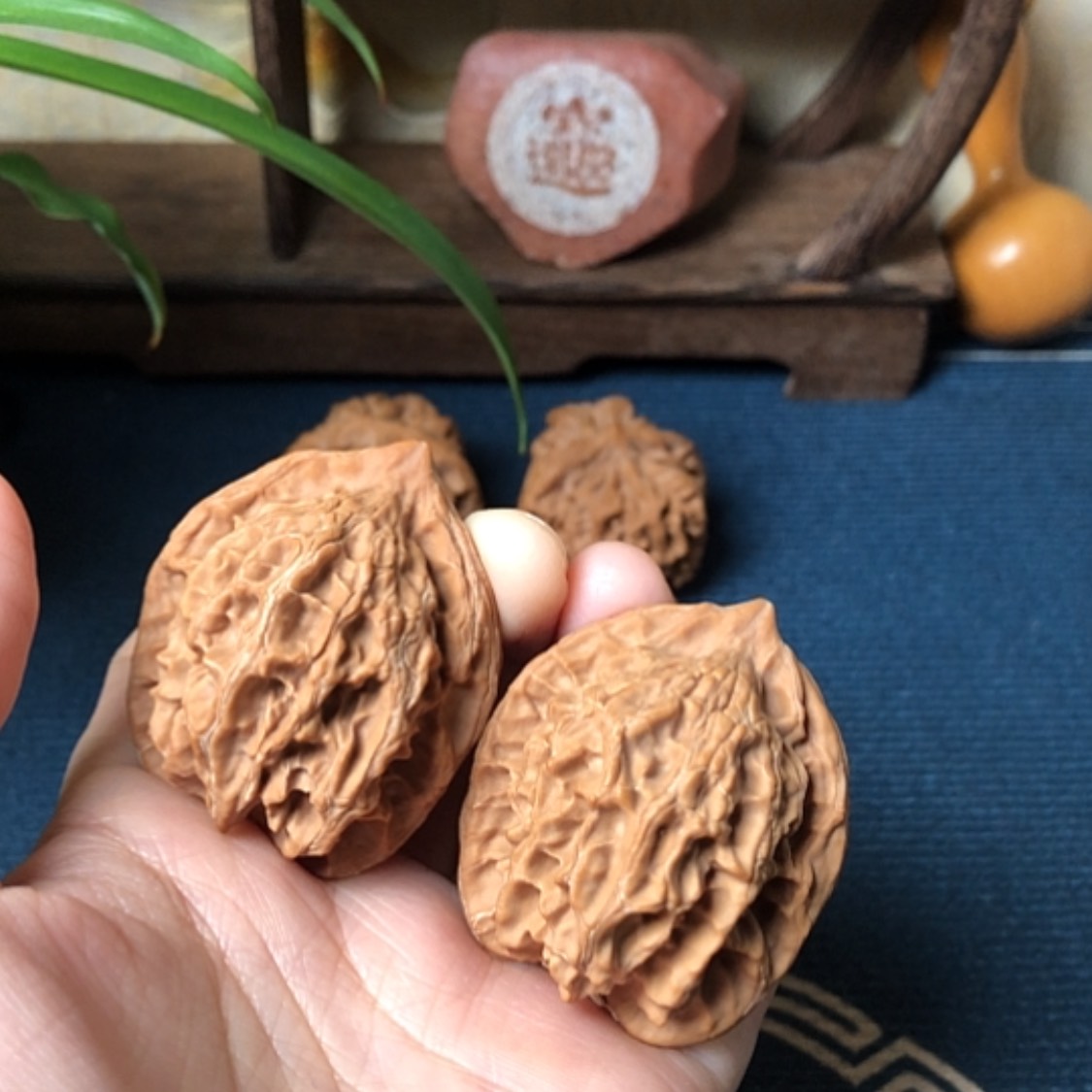 【闪购商品】文玩核桃把件公子帽不退换