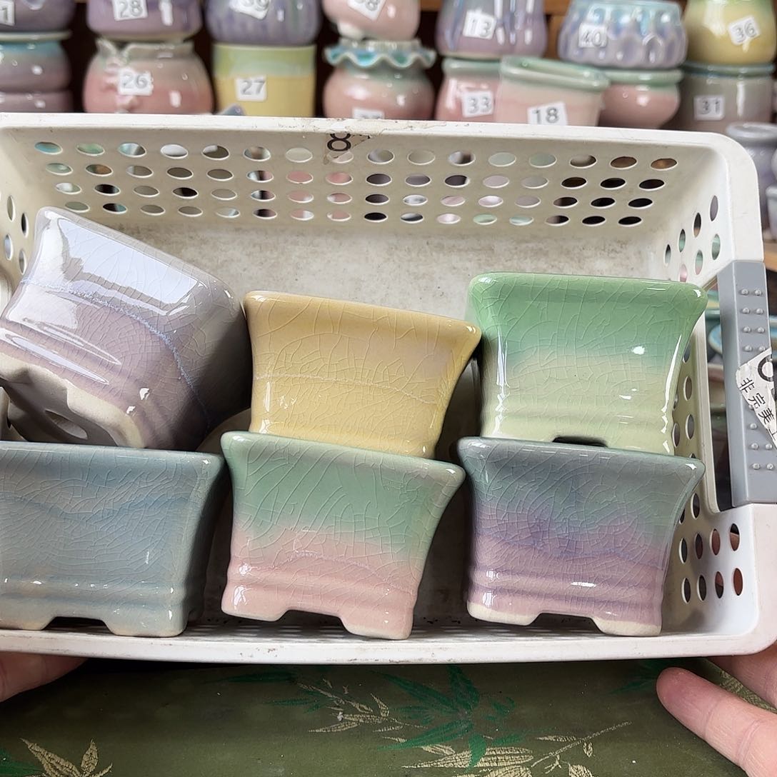 量货/口6.5-8高深浅搭配发6个