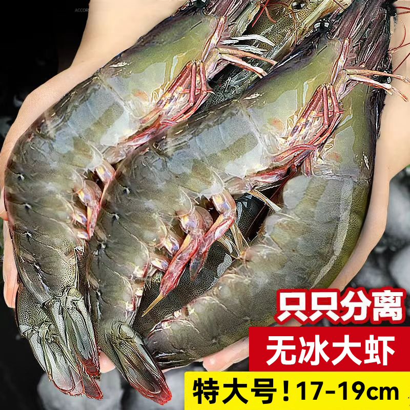 【20/30青岛大虾】鲜活超大速冻海虾新鲜基围虾海捕冻虾白虾青虾
