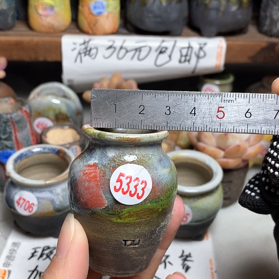 红陶拍5送一个小