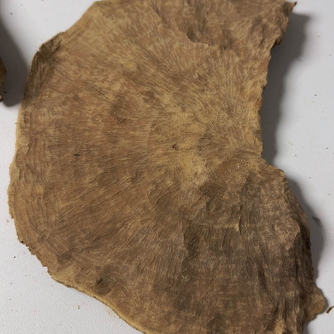 沉香碎屑沉香海南沉香73克