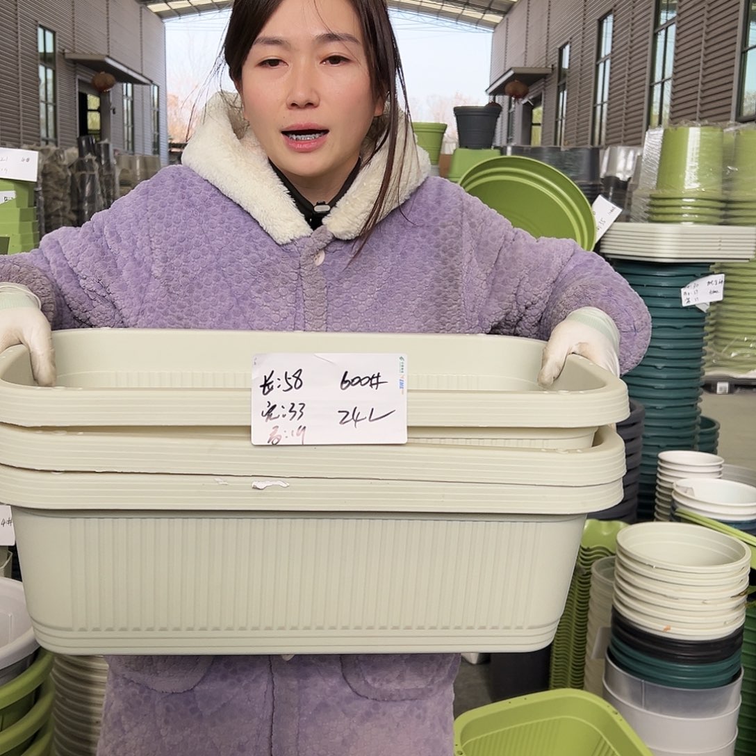 菜盆600#米白3个无托