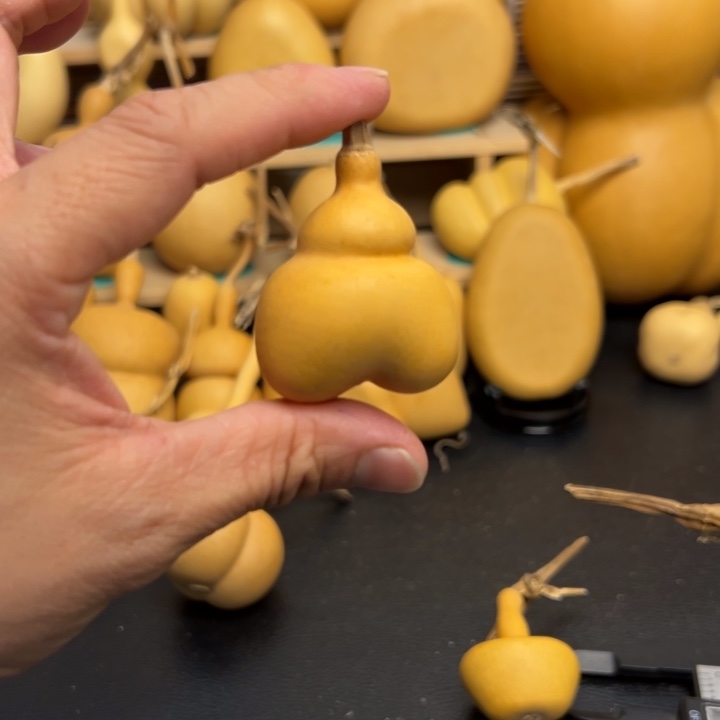 ，*葫芦葫芦葫芦葫芦葫芦葫芦