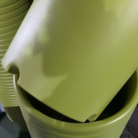 树脂四季4号果绿无托5个