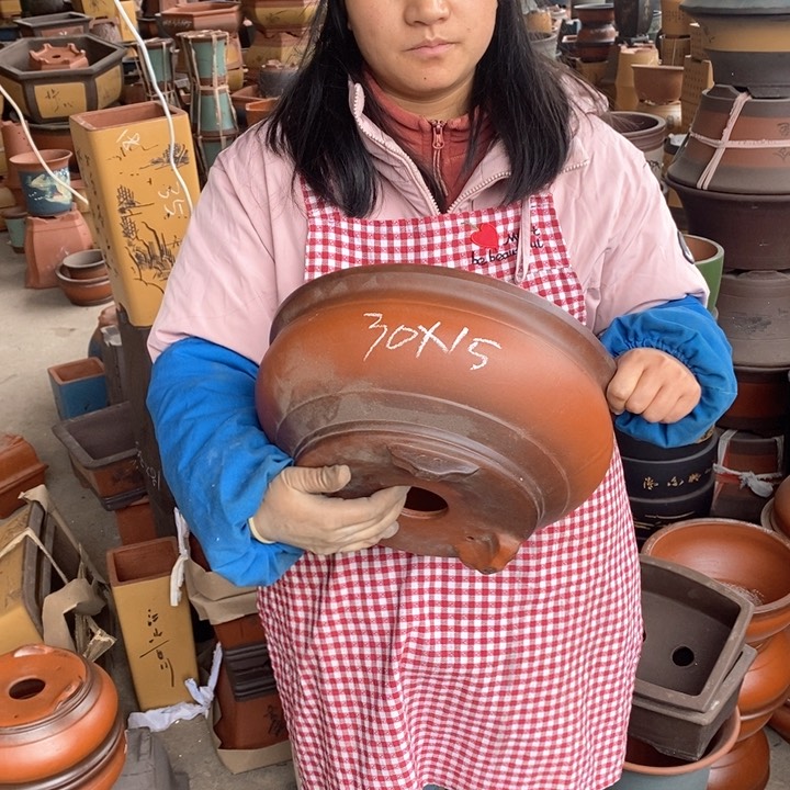 紫砂花盆盆栽花卉苗木种植