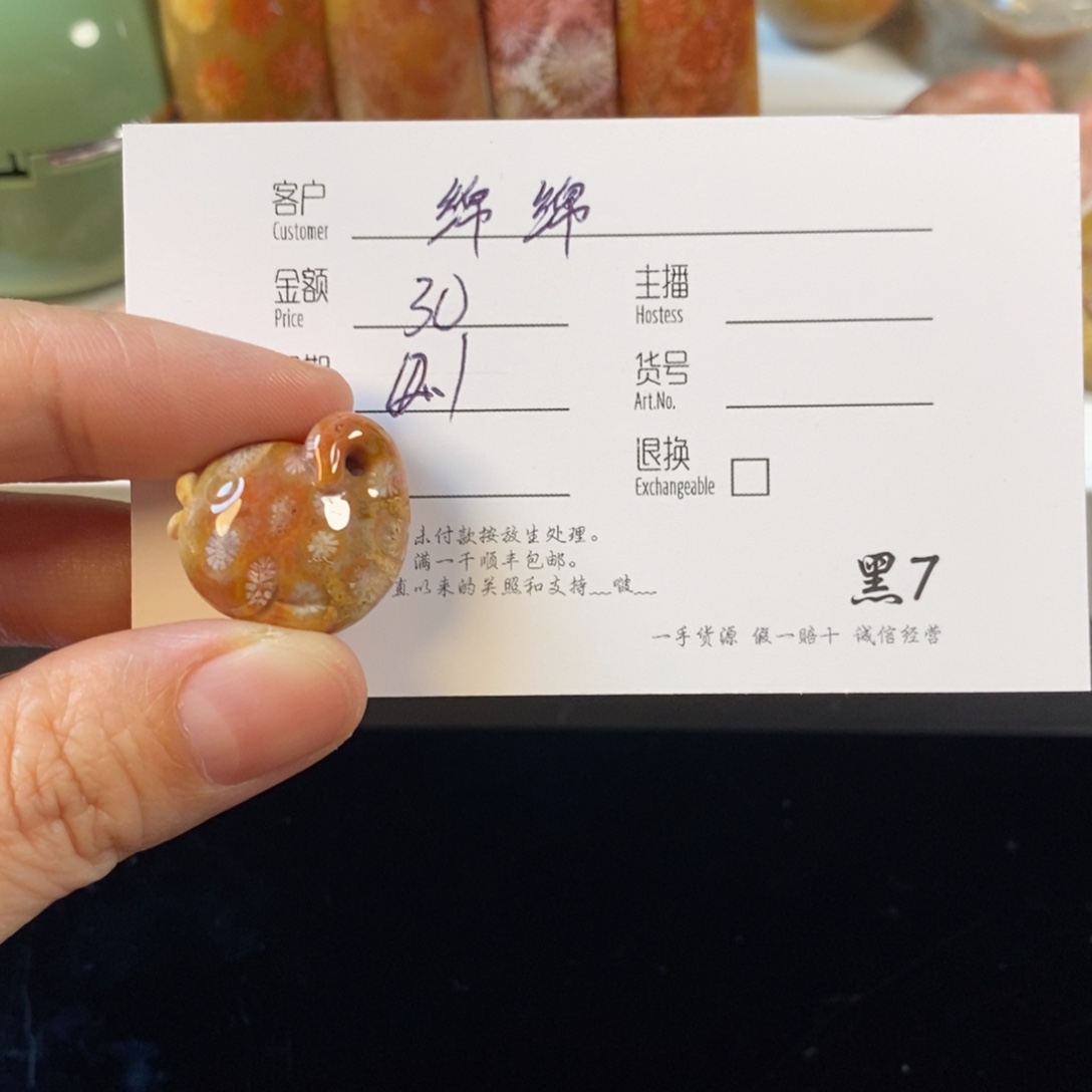 绵***雨硅化珊瑚（珊瑚玉）未镶嵌颈饰