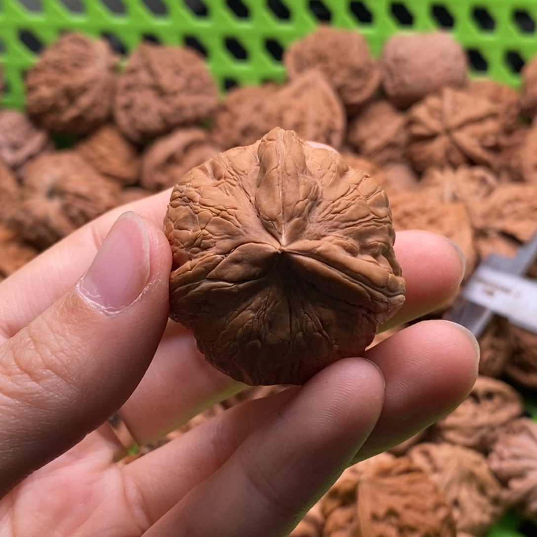 熬***狗核桃定制商品不退不换