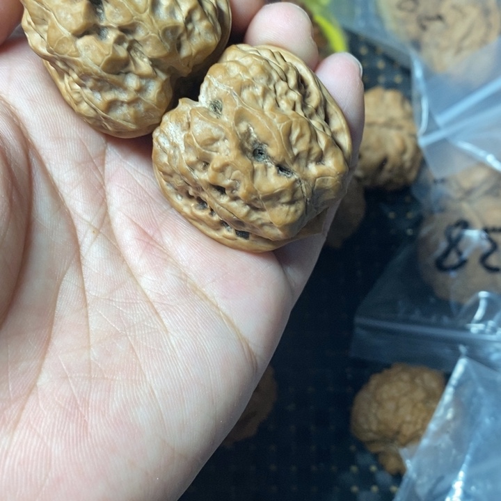 把件文玩核桃蛤蟆38