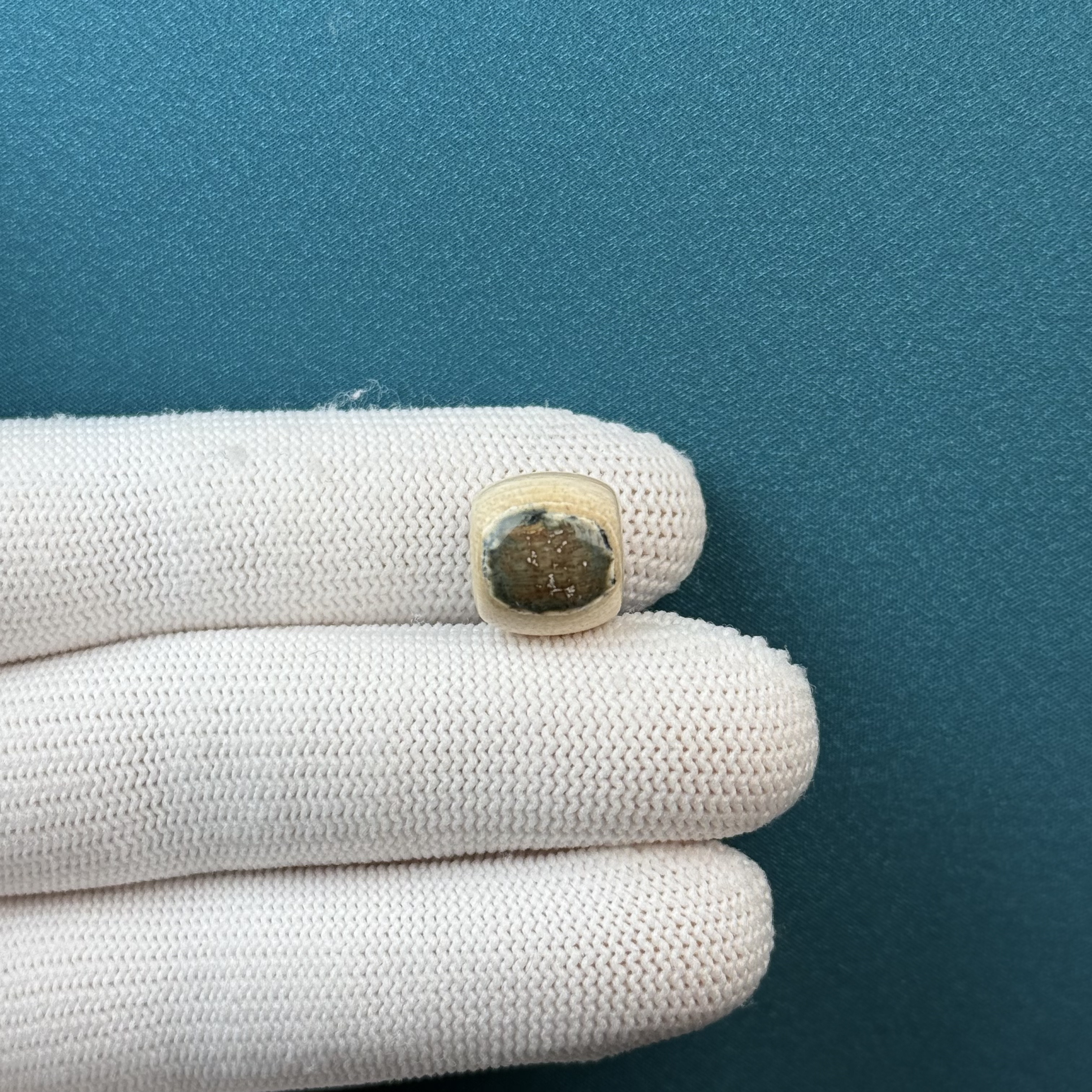 D51-68 天然猛犸牙 蓝眼睛老型珠12.3*11.5mm支持复检假一罚十