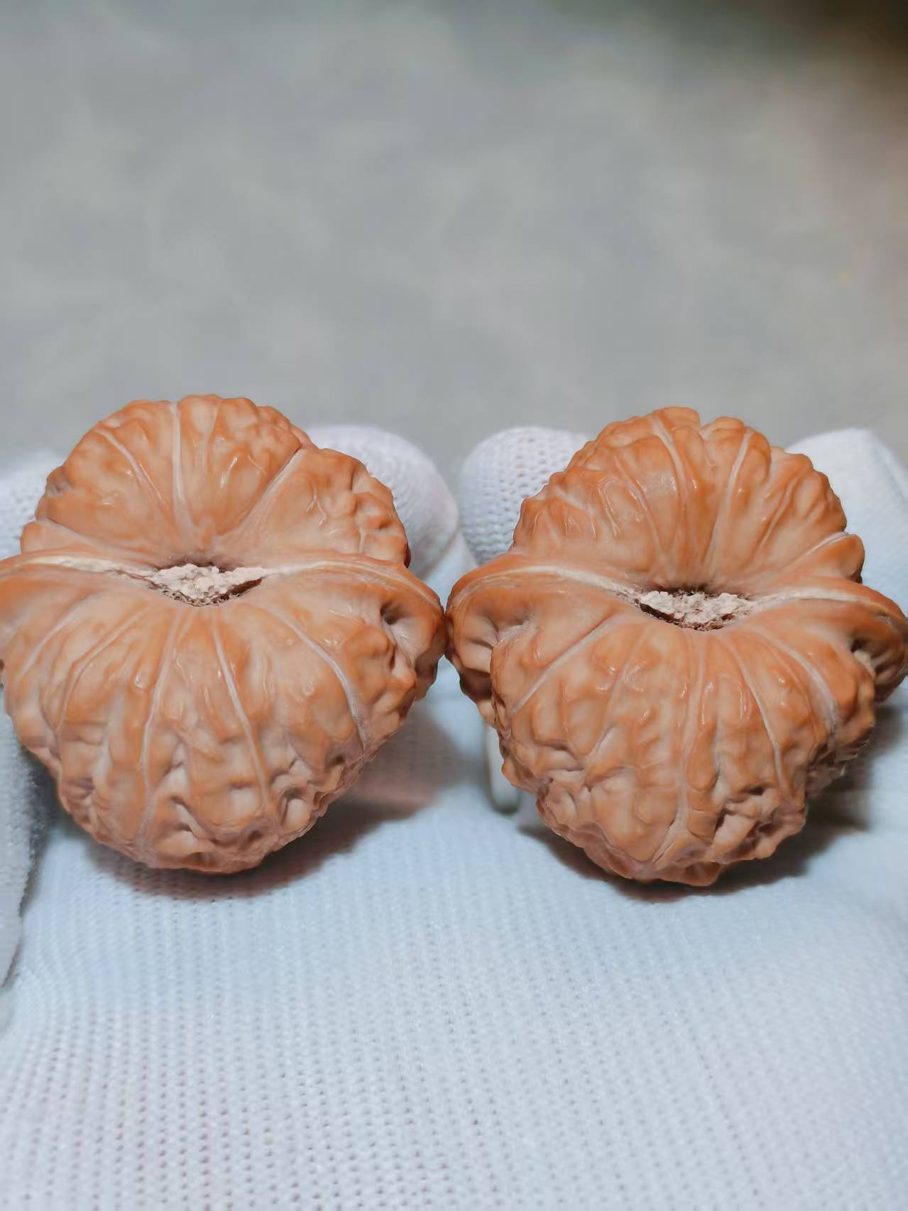 精品文玩核桃 5号链接 (直播间专属链接）