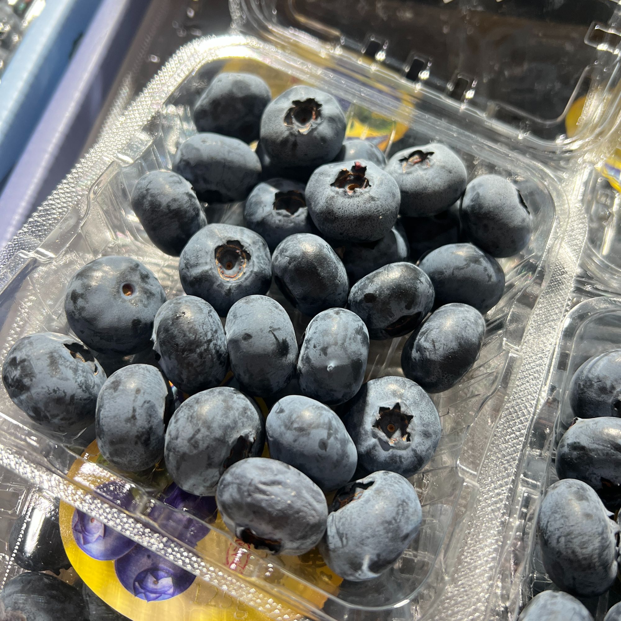 云南L25花香蓝莓花香味浓郁新鲜蓝莓当季应季直径22mm+只发川渝