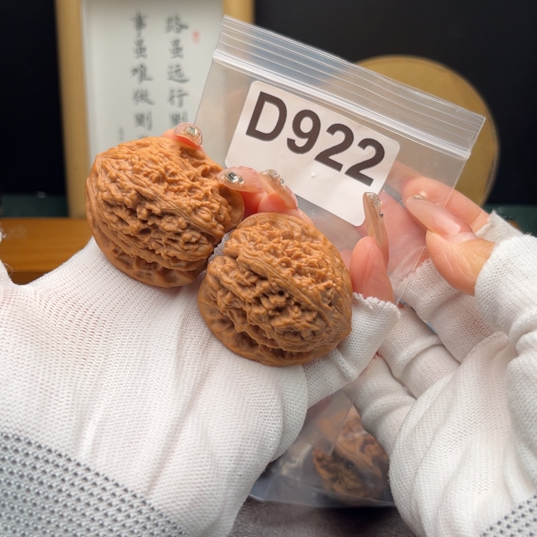 文玩核桃把件40蚂蚁塔d922