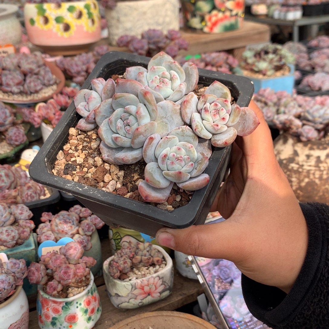 哈哈哈哈哈哈哈10