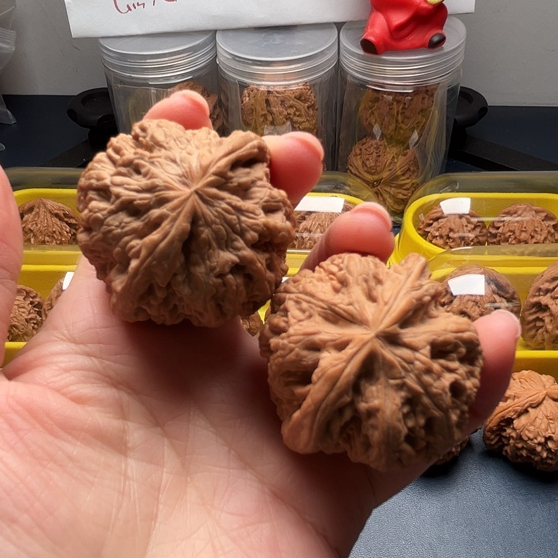 核桃43尺寸大球筋