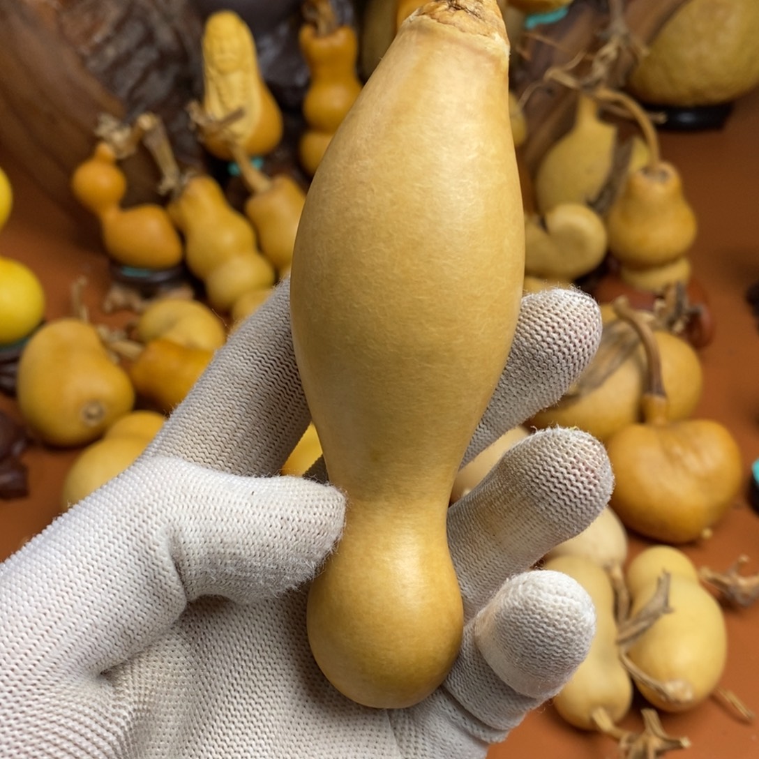 三***泰途径教练咯教练咯教练咯