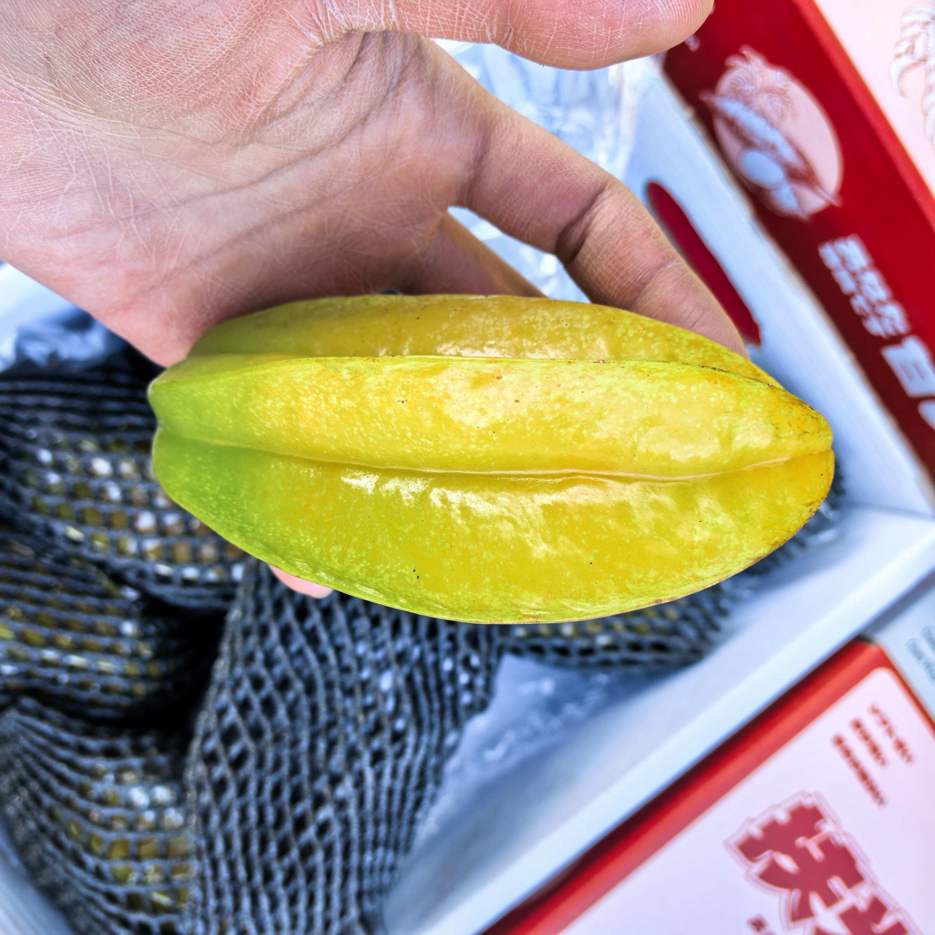 【顺丰次日达】巨好吃 丑甜桃 树熟 杨桃 一箱海南省