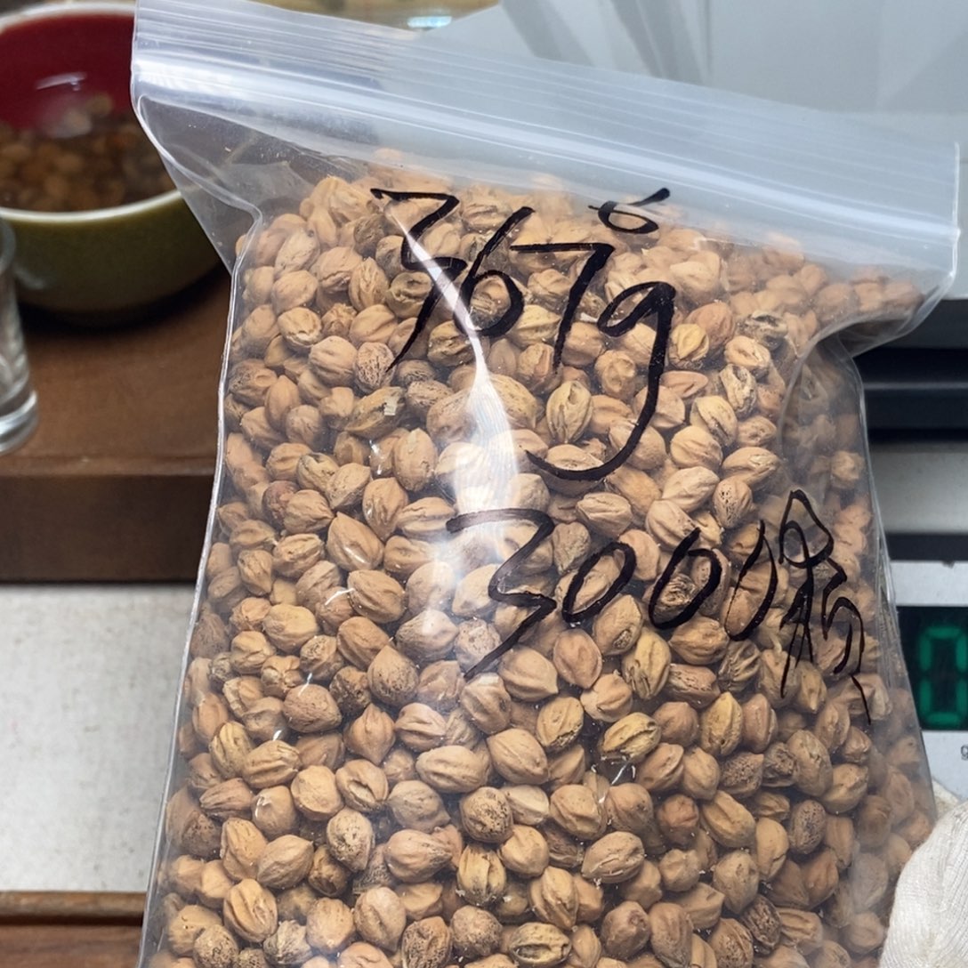 吊坠柏香籽/百香籽