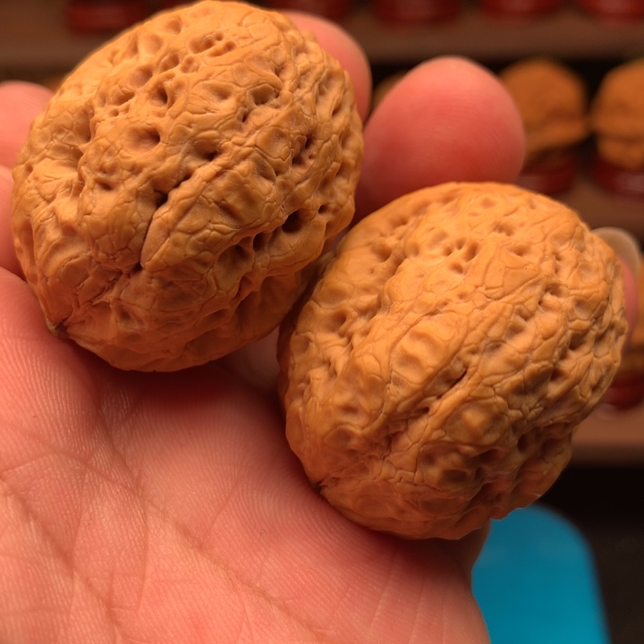 文玩核桃吊坠卧龙蟾王