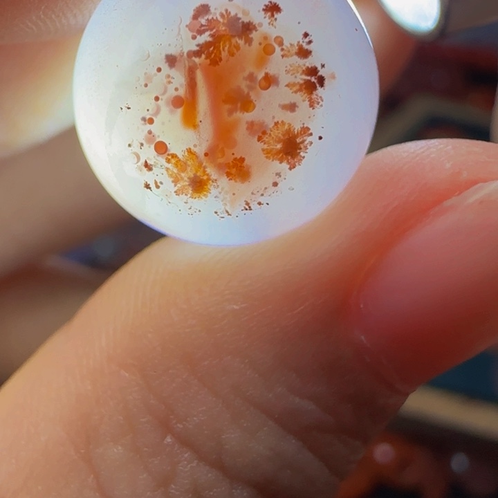 南红玛瑙未镶嵌颈饰