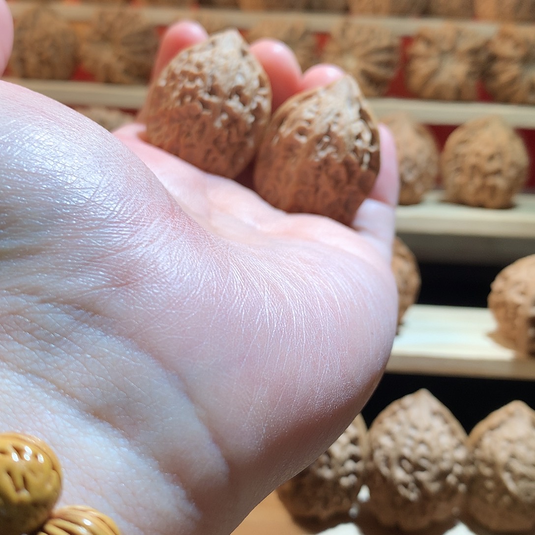 略***～核桃30沈鸡文玩核桃手把件