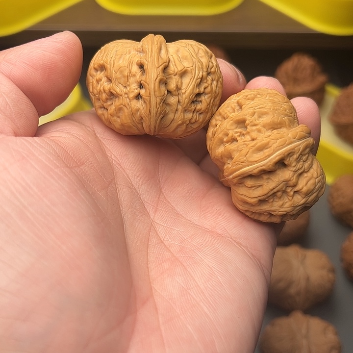 44尺精配头货全品元宝