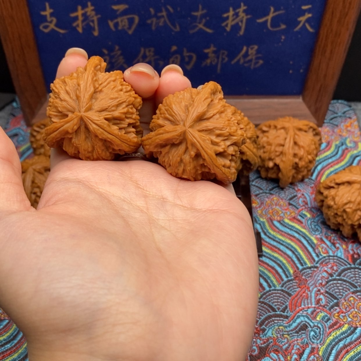 【闪购商品】二*白狮