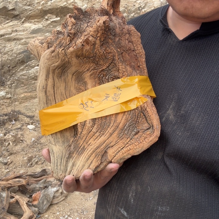 蓝***天有机玻璃太行崖柏