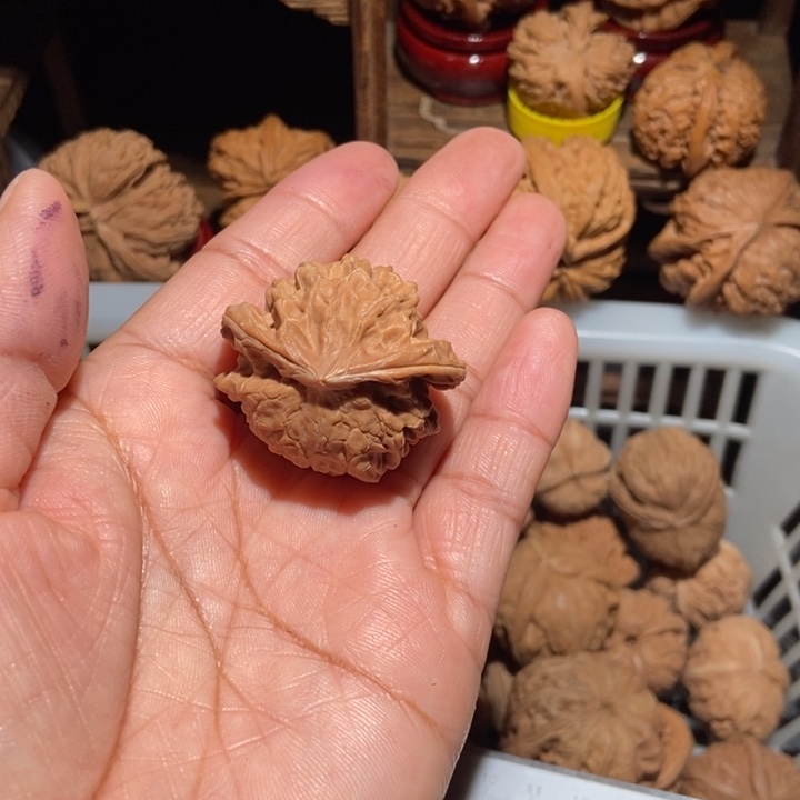 盘***了核桃盘山蛇尺寸37全品