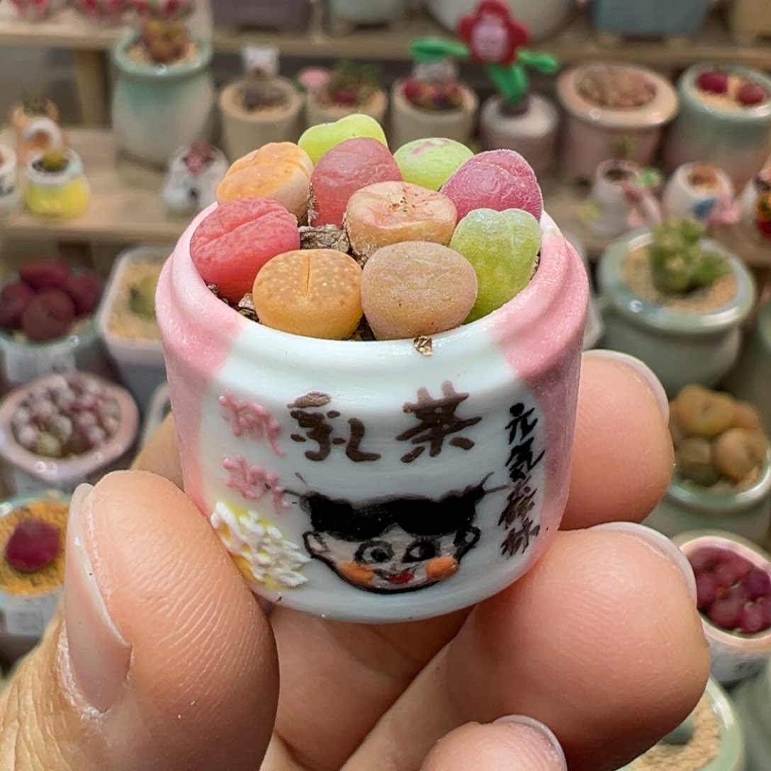 多肉植物96号拇指盆