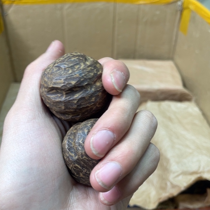 贝壳摆件峰云恩专属精选链接