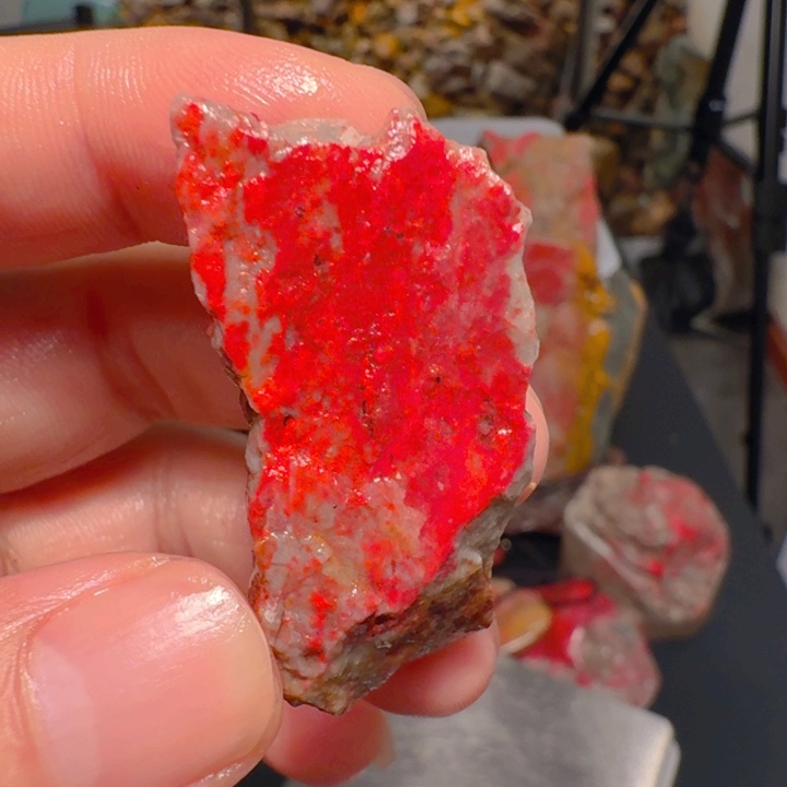 用***0印石昌化石昌化鸡血石