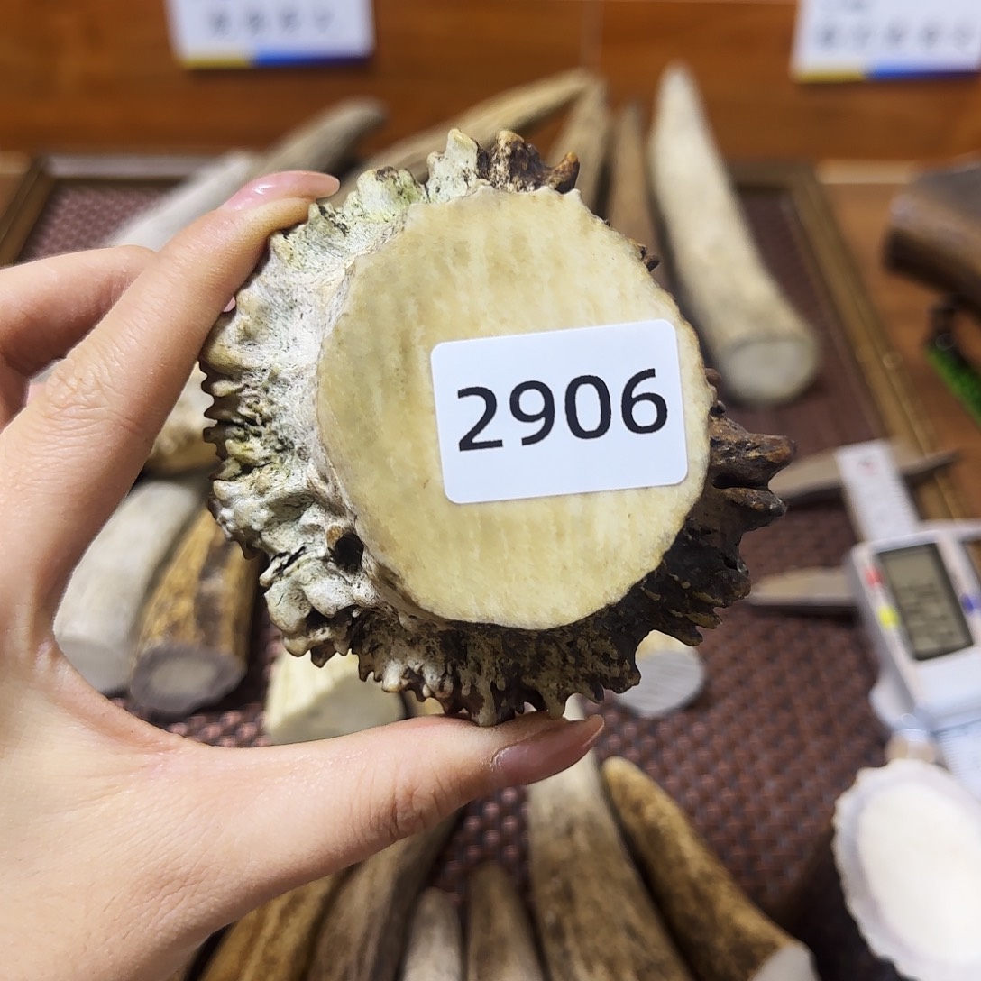 鹿骨手串/手链角帽2906