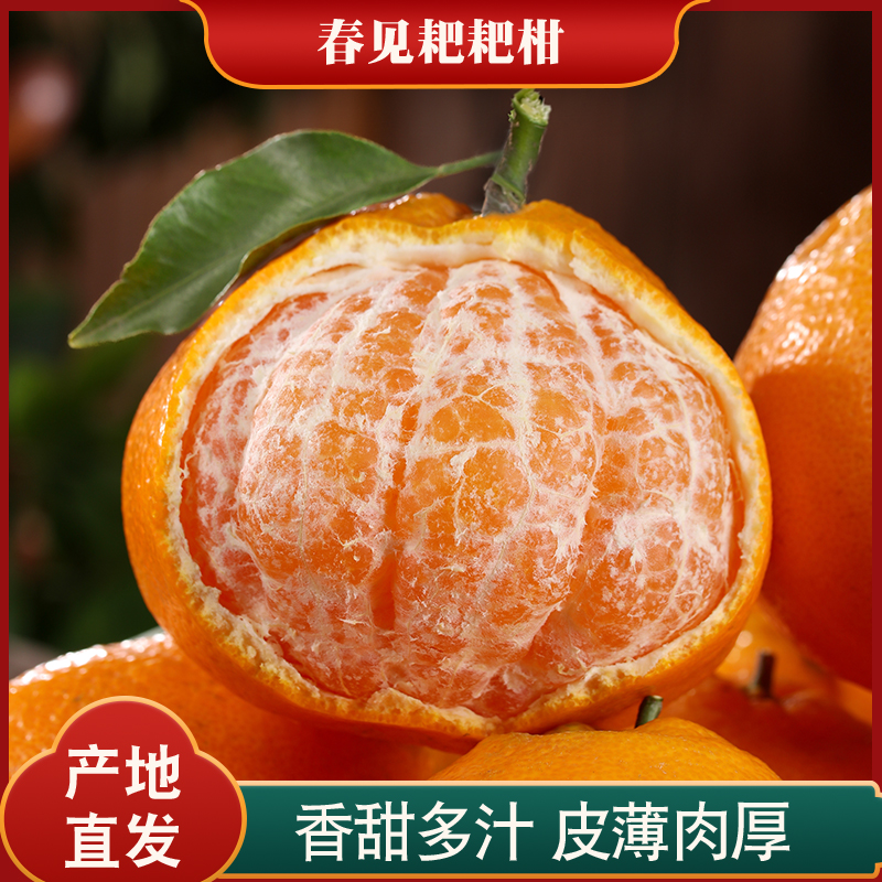 四川春见耙耙柑3/5/8斤新鲜水果现摘甜润多汁丑粑粑柑橘八怪柑桔