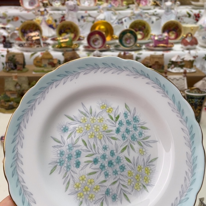 盘维多利亚欧洲中古