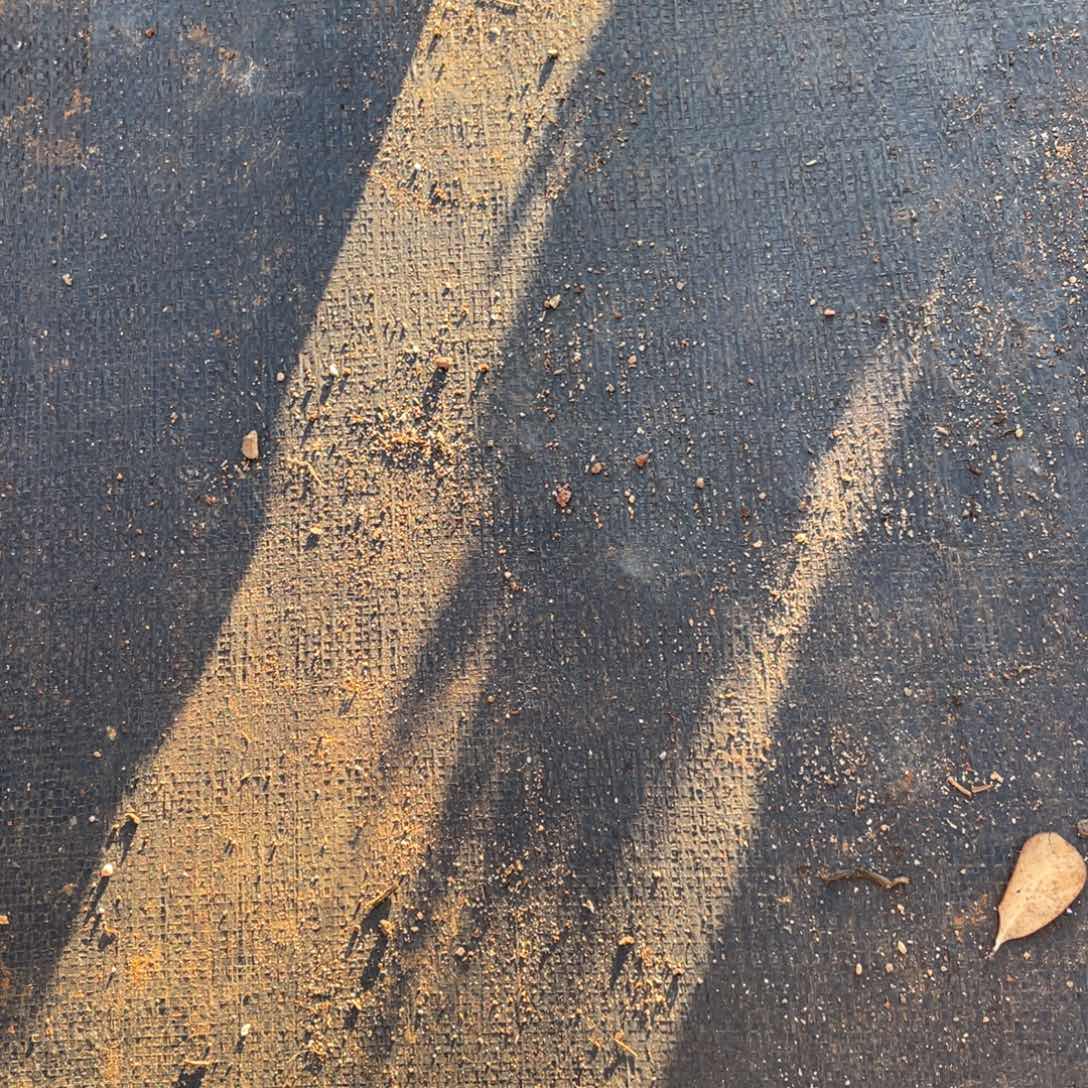 无花朵若如东云单拍保温箱