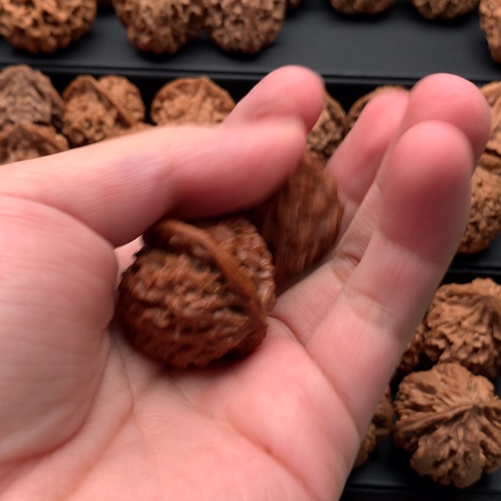 其他核桃王*憨秦岭山脉和黄土