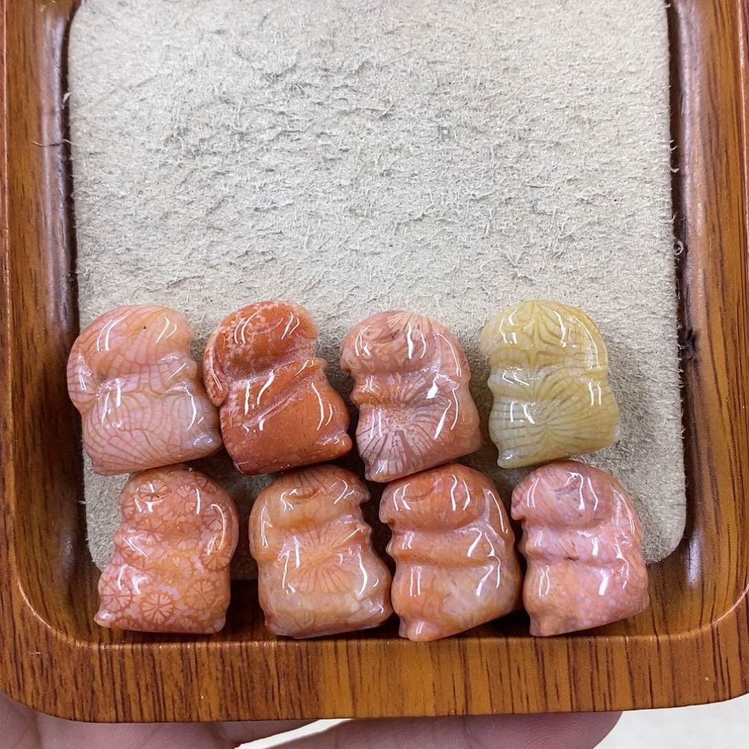 硅化珊瑚（珊瑚玉）Q532未镶嵌