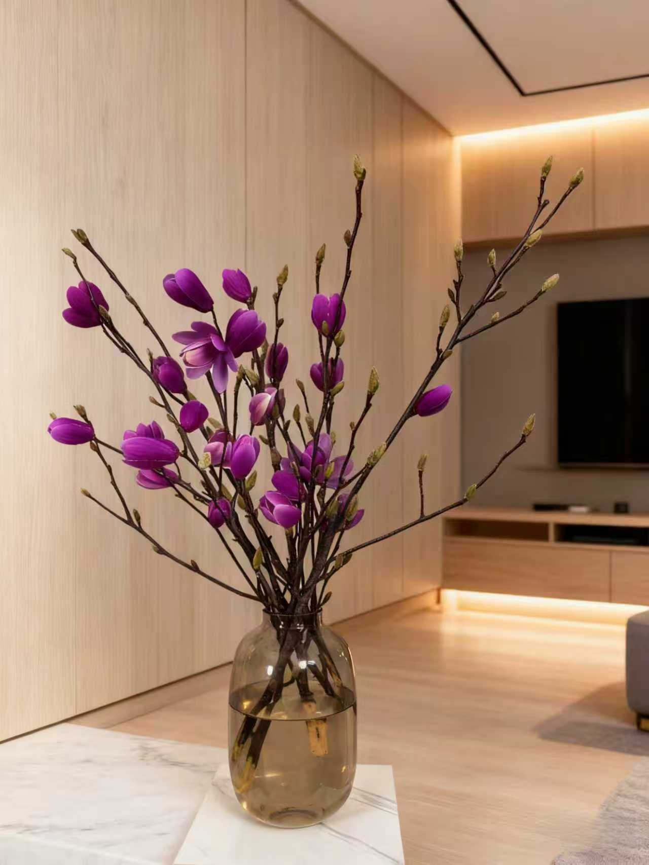 带花苞浓香型水培玉兰花卉室内遇水开花好养花材绿植净化空气