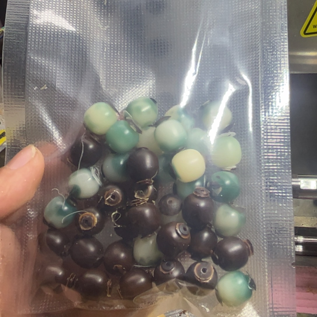 乘***时菩提根/象牙果手串