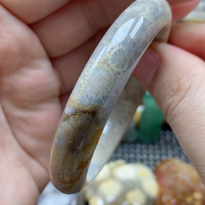 硅化珊瑚（珊瑚玉）颈饰未镶嵌53.8