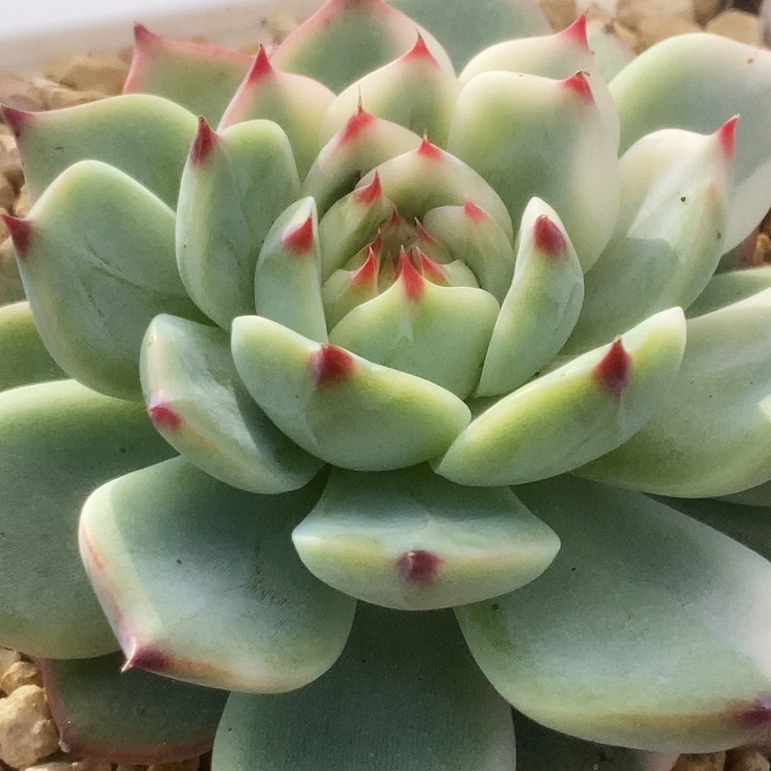 171锦锦锦锦锦锦锦锦锦锦