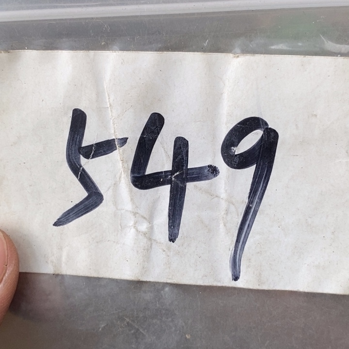 一***在金属德宝文玩专属链接